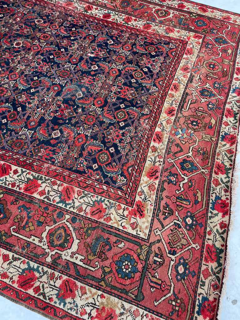 SOLD | FINE Antique Persian Malayer with Several Designs | Herati Field with Serapi Border | ~ 7 x 10