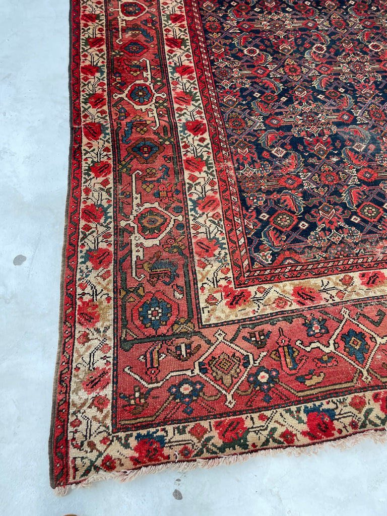 SOLD | FINE Antique Persian Malayer with Several Designs | Herati Field with Serapi Border | ~ 7 x 10