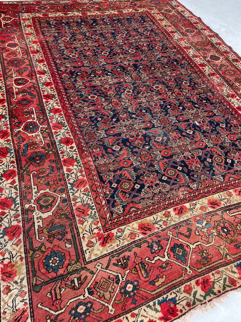 SOLD | FINE Antique Persian Malayer with Several Designs | Herati Field with Serapi Border | ~ 7 x 10