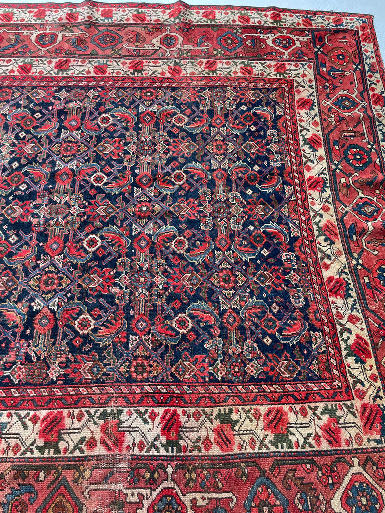 SOLD | FINE Antique Persian Malayer with Several Designs | Herati Field with Serapi Border | ~ 7 x 10