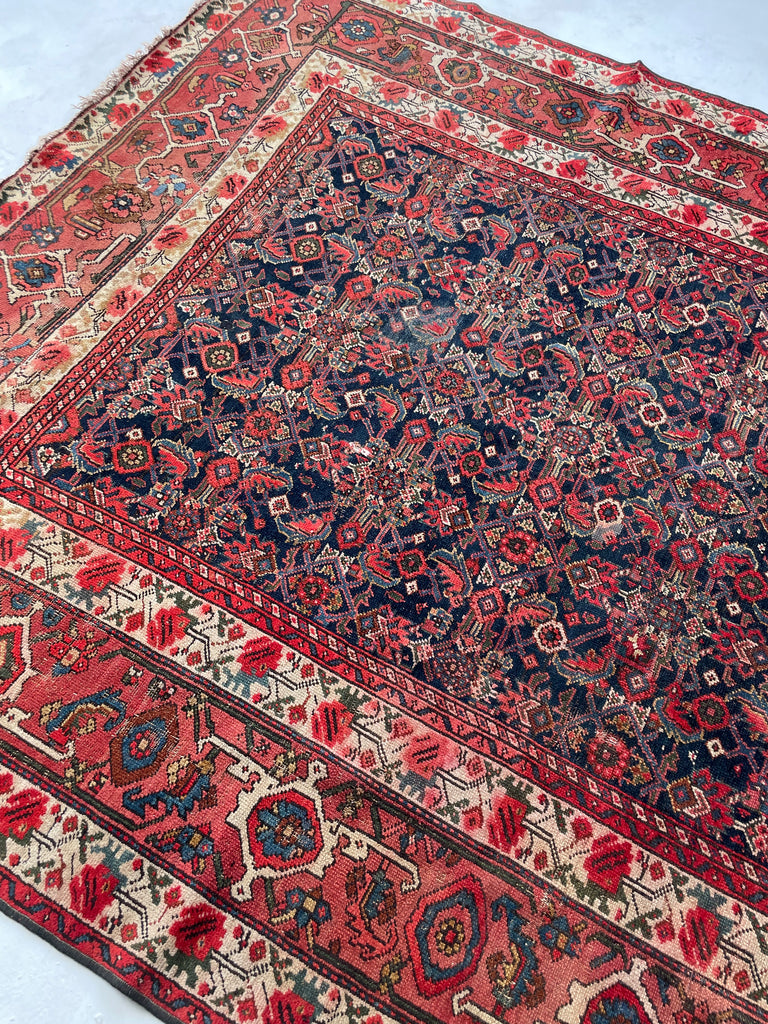 SOLD | FINE Antique Persian Malayer with Several Designs | Herati Field with Serapi Border | ~ 7 x 10