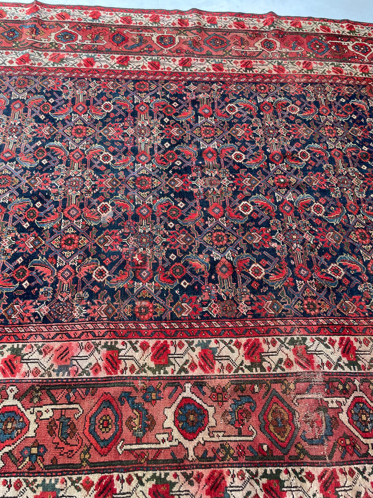 SOLD | FINE Antique Persian Malayer with Several Designs | Herati Field with Serapi Border | ~ 7 x 10