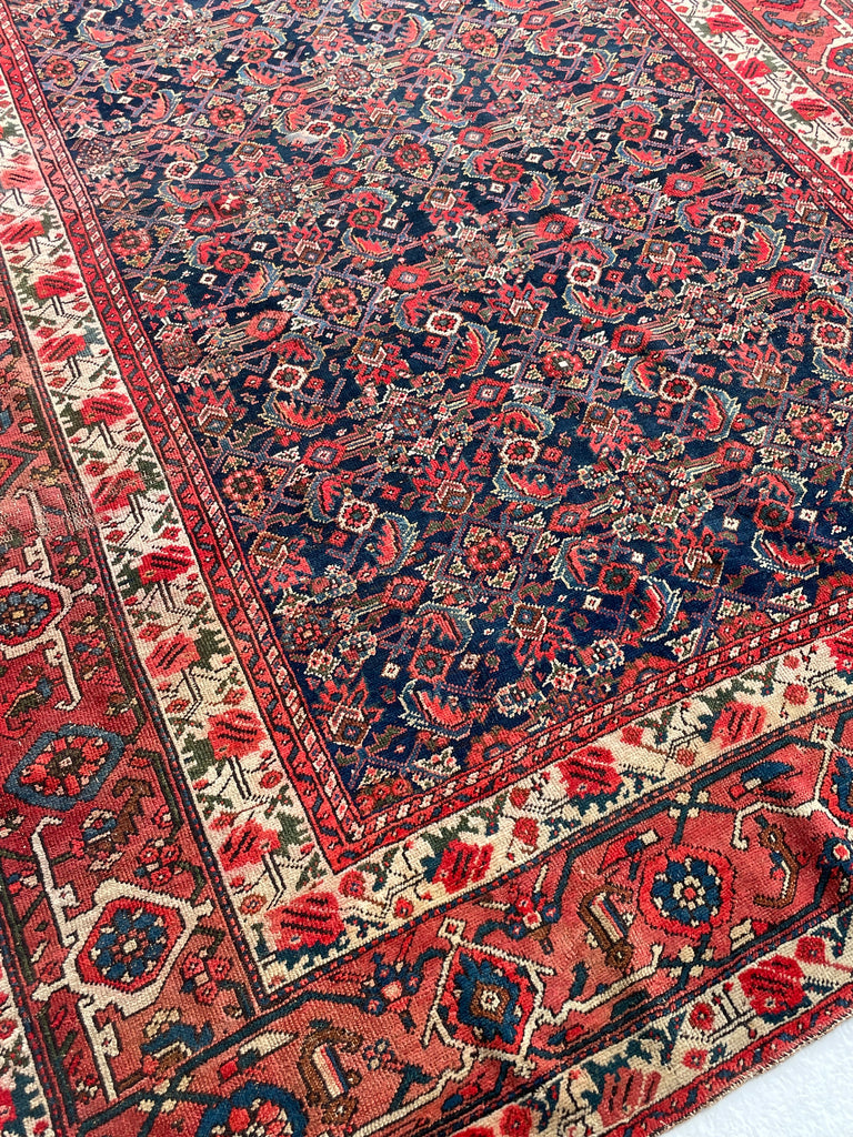 SOLD | FINE Antique Persian Malayer with Several Designs | Herati Field with Serapi Border | ~ 7 x 10