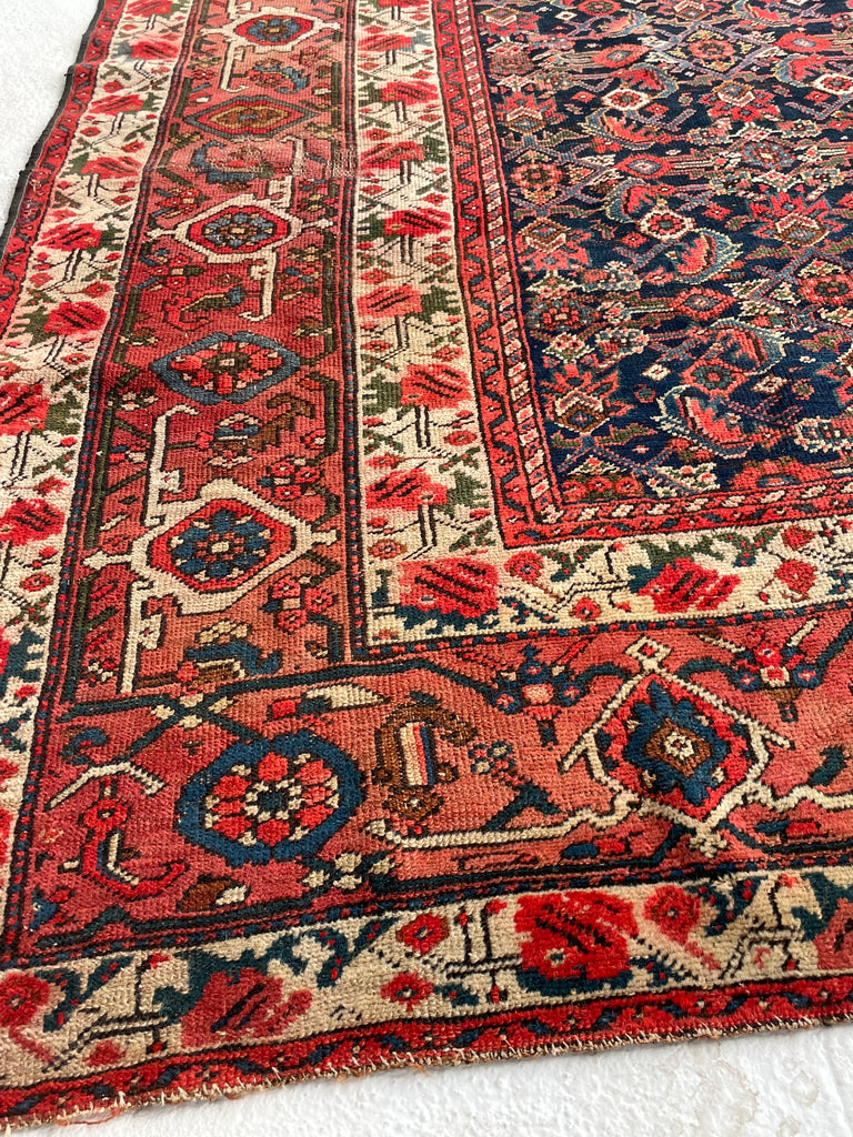 SOLD | FINE Antique Persian Malayer with Several Designs | Herati Field with Serapi Border | ~ 7 x 10