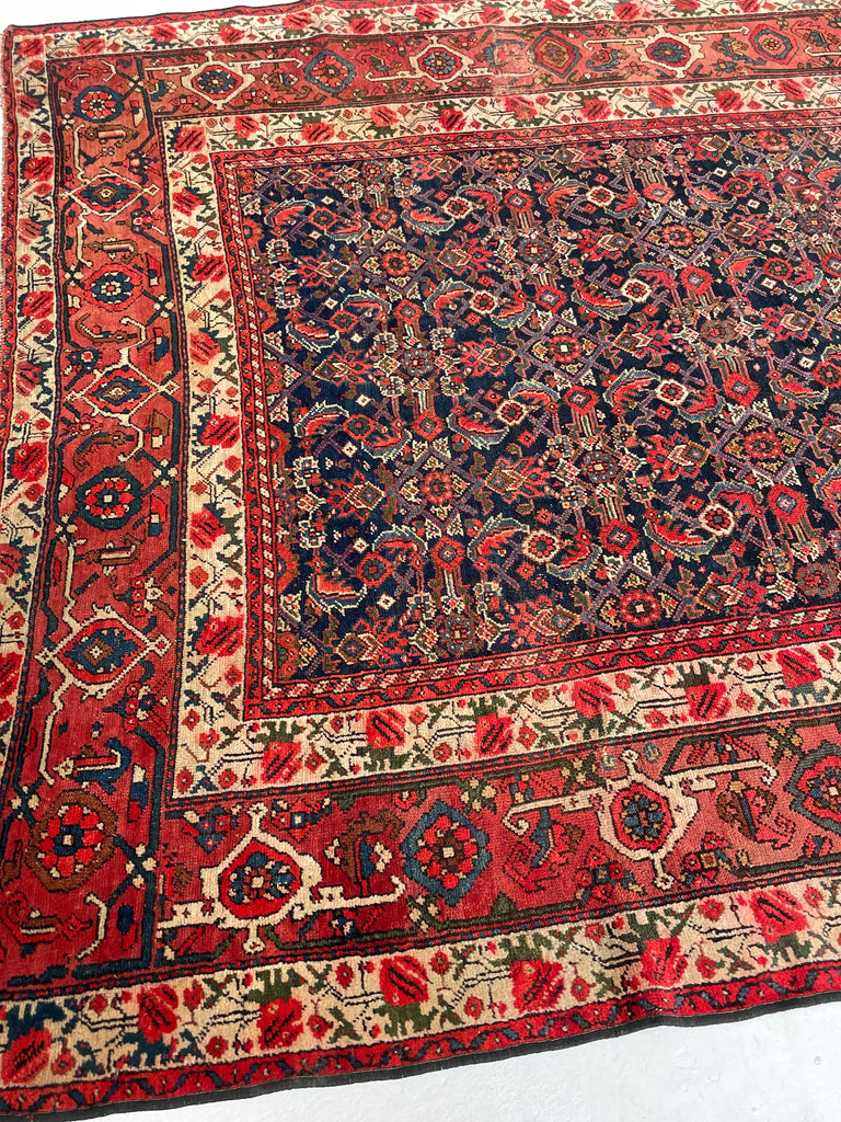 SOLD | FINE Antique Persian Malayer with Several Designs | Herati Field with Serapi Border | ~ 7 x 10