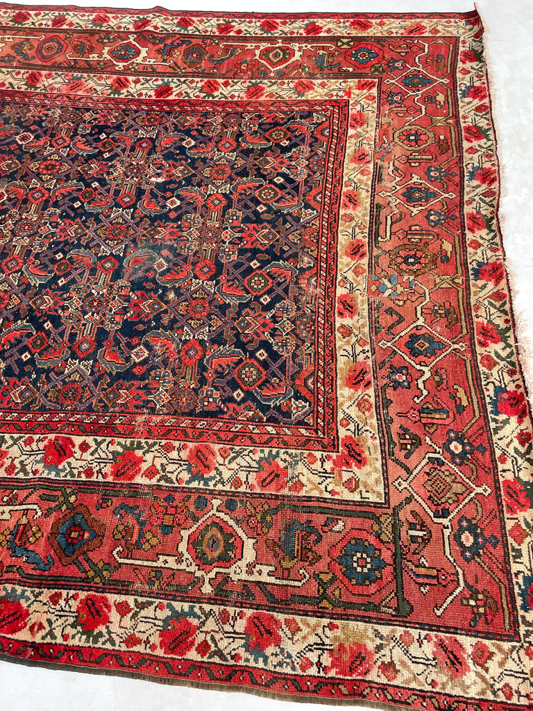 SOLD | FINE Antique Persian Malayer with Several Designs | Herati Field with Serapi Border | ~ 7 x 10