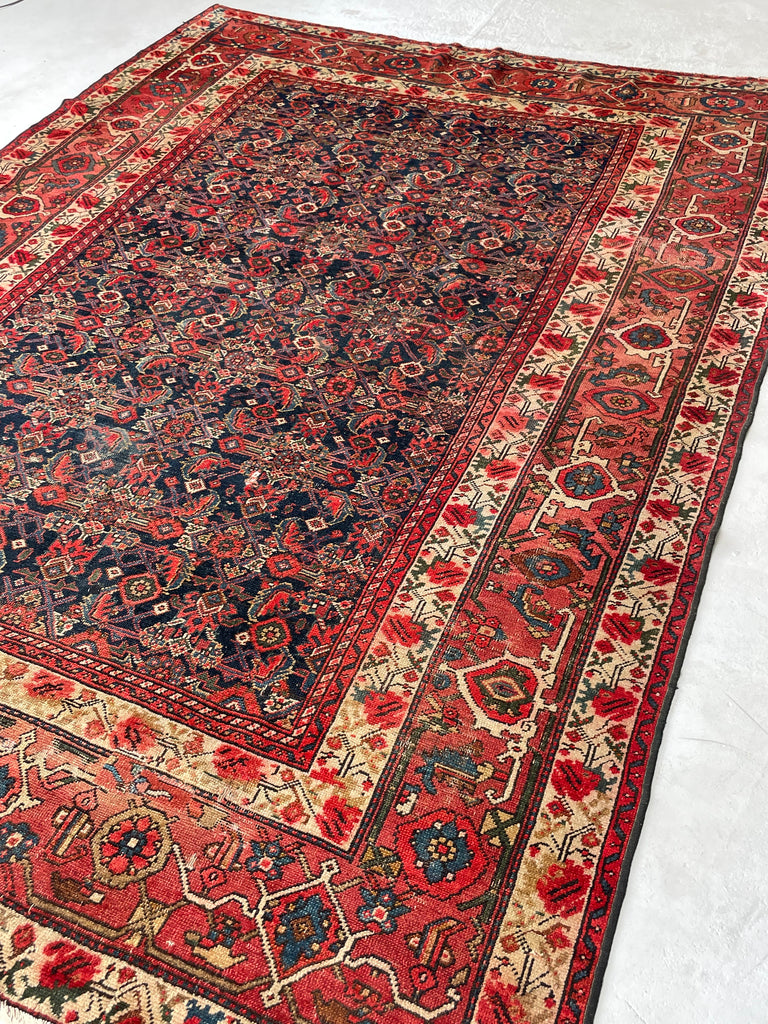 SOLD | FINE Antique Persian Malayer with Several Designs | Herati Field with Serapi Border | ~ 7 x 10