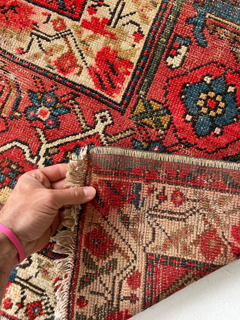 SOLD | FINE Antique Persian Malayer with Several Designs | Herati Field with Serapi Border | ~ 7 x 10