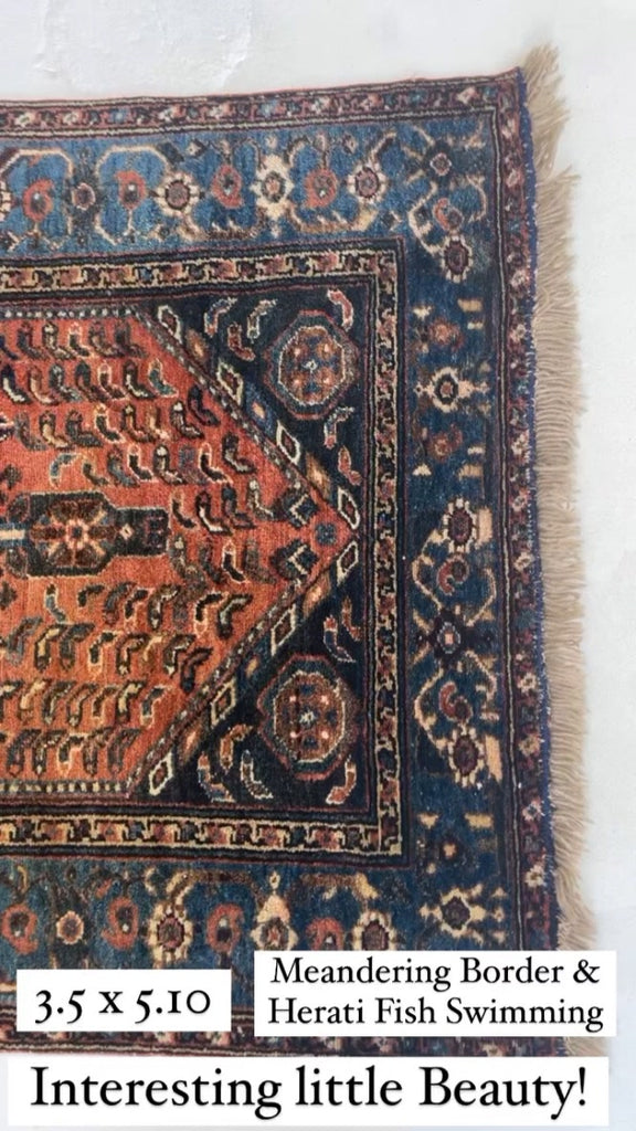 SOLD | Interesting Tribal Antique Rug | Herati Fish with Lovely Two-Toned Blue Border | 3.5 x 5.10