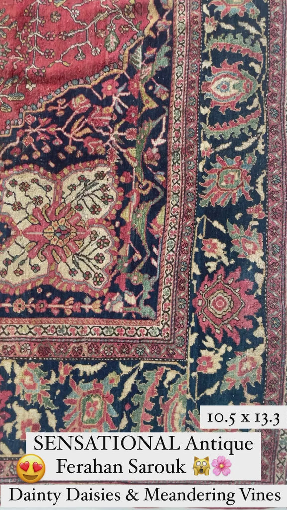 SOPHISTICATED Old-World Antique Ferahan Sarouk | Dainty Flora & Suspended Vines | 10.5 x 13.3
