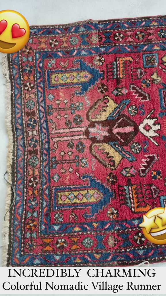 SOLD | UNBELIEVABLY CHARMING Vintage Tribal Runner with Nomadic Motifs & Gorgeous Colors | ~ 3.1 x 10.8