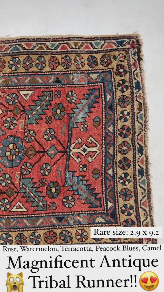 SOLD | LOVELY Narrow Antique Heriz/Meshkin Runner | Soft Rust, Camel, French Blue | 2.9 x 9.3