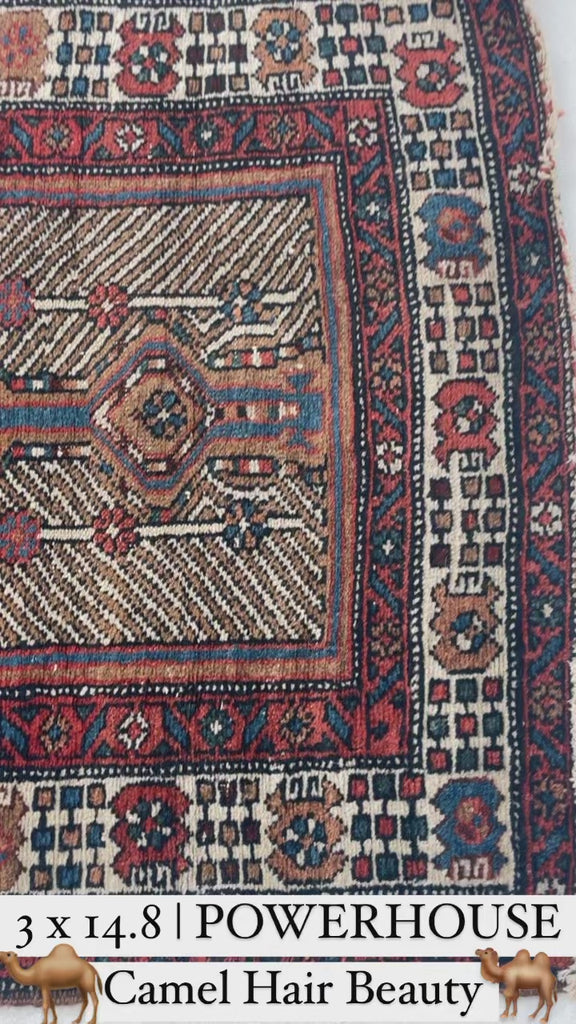 MAGNIFICENT CAMEL HAIR Runner | Raw Earthy with Beige & Peacock Blue-Greens | 3 x 14.8