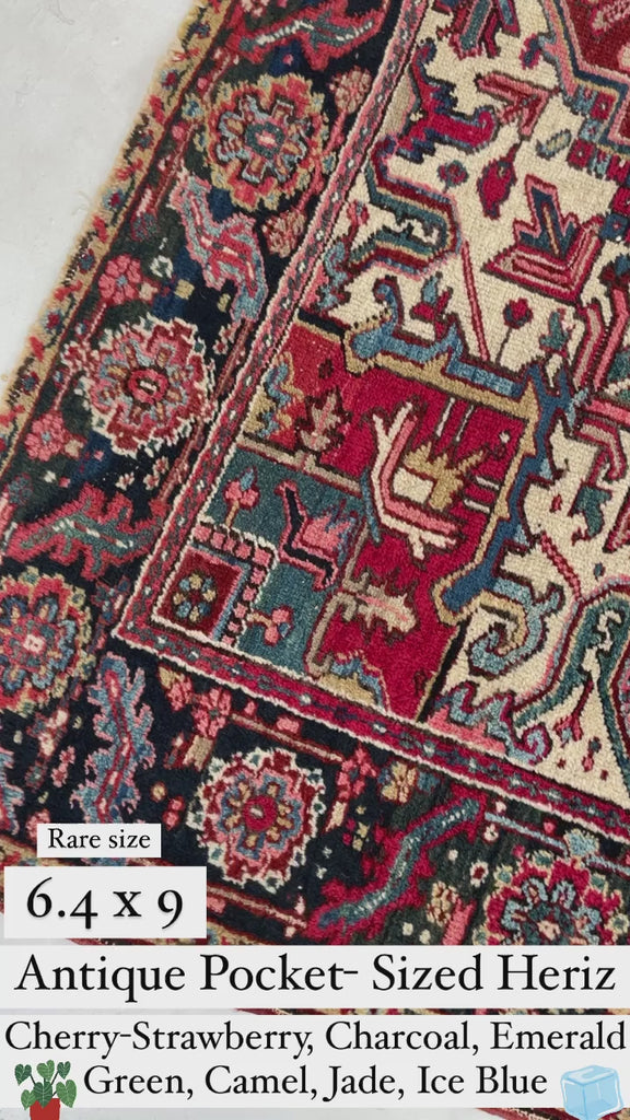 RARE-SIZED Antique Heriz Rug | Strawberry-Cherry, Clay, Indigo, Greens | 6.4 x 9
