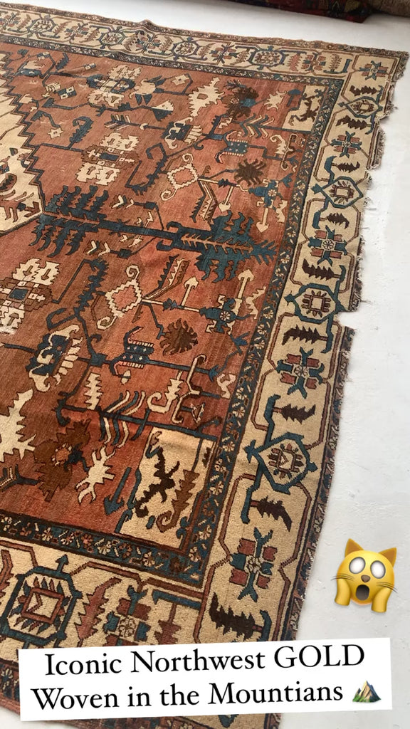 HISTORICAL Antique Bakshayesh Rug | Artistic TRIBAL Beauty with Clay, Umber, Amber hues - True Gem | 9.6 x 13.7