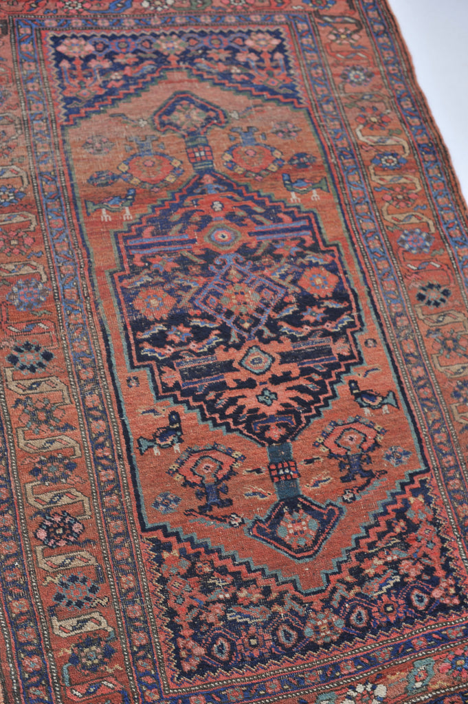 4 x 6.5 | DIVINE Antique Nomadic Artistic GEM | Terracotta, Greens, Blackish-Indigo | Jude