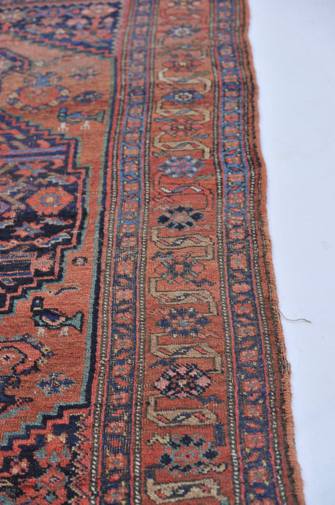 4 x 6.5 | DIVINE Antique Nomadic Artistic GEM | Terracotta, Greens, Blackish-Indigo | Jude