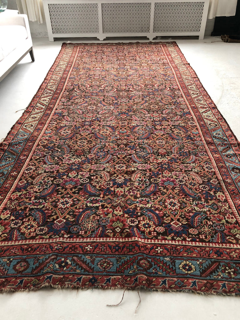 Antique Northwest Persian Bakshayesh | 5.9 x 13.10 | BEAUTIFUL European Sized Ancient Rug