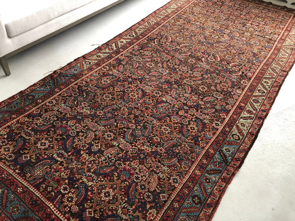 Antique Northwest Persian Bakshayesh | 5.9 x 13.10 | BEAUTIFUL European Sized Ancient Rug