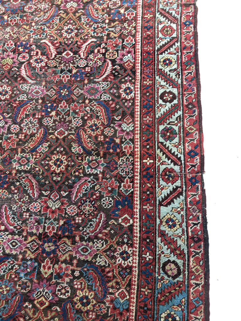 Antique Northwest Persian Bakshayesh | 5.9 x 13.10 | BEAUTIFUL European Sized Ancient Rug