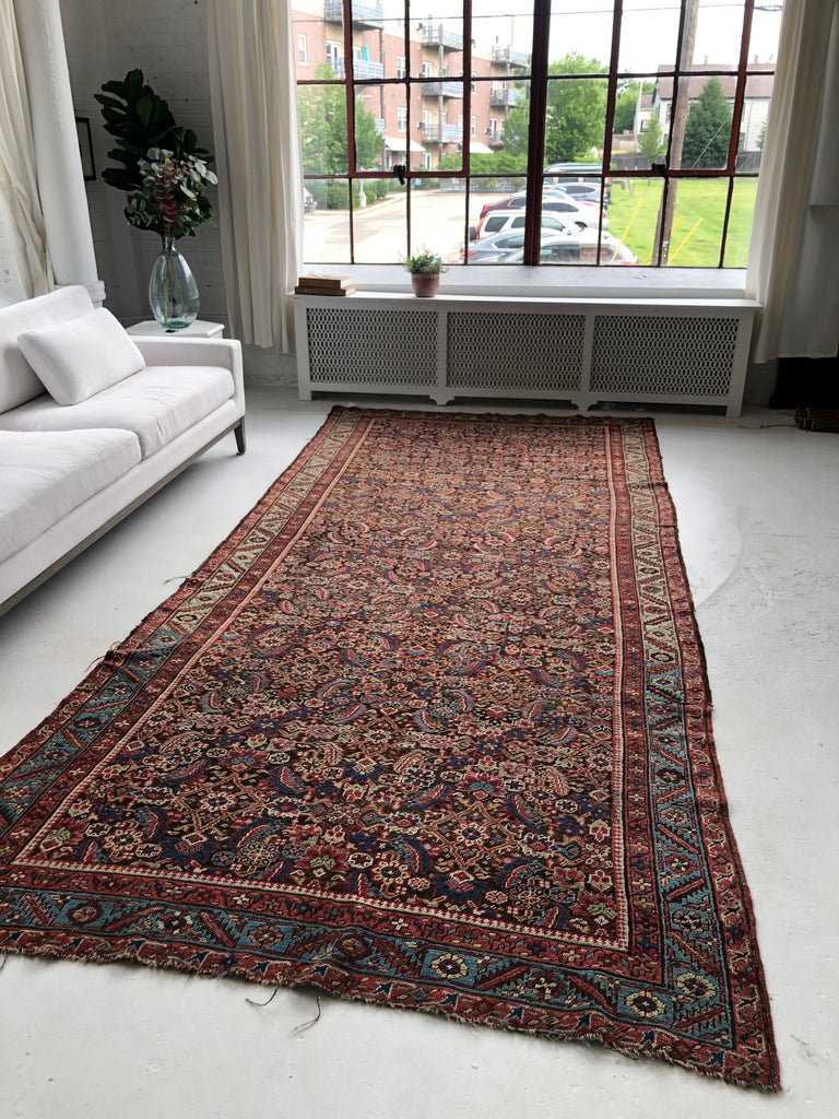 Antique Northwest Persian Bakshayesh | 5.9 x 13.10 | BEAUTIFUL European Sized Ancient Rug