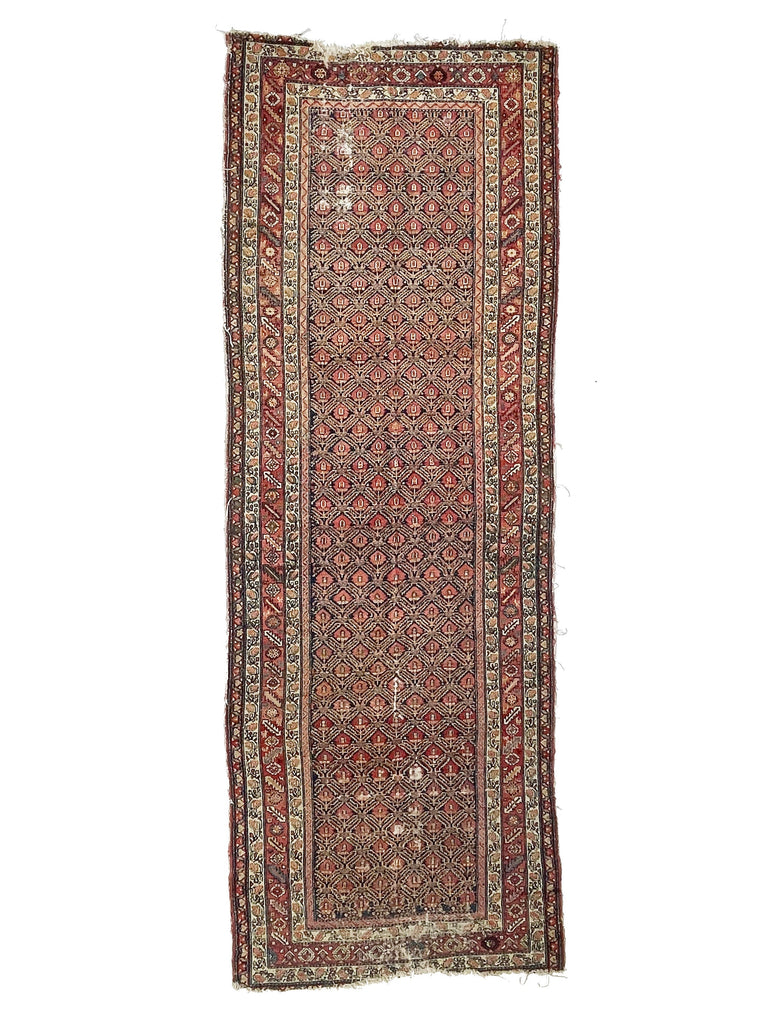 Wide Gallery Antique Runner | Distressed Wide Tight-Patterned Wide Antique Rug | 5.4 x 14.10