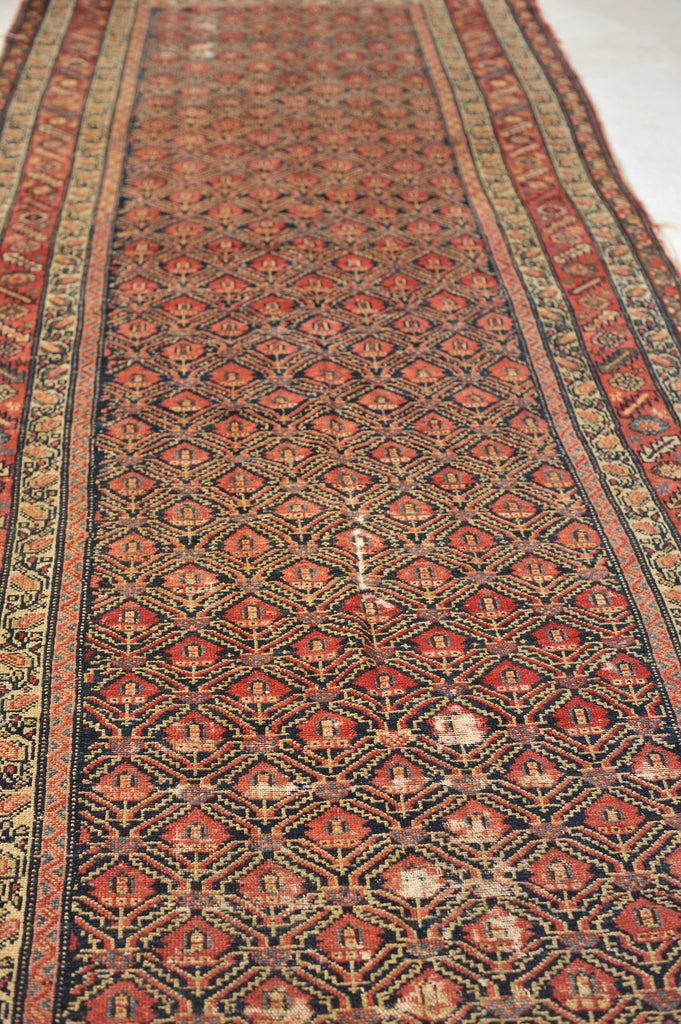 Wide Gallery Antique Runner | Distressed Wide Tight-Patterned Wide Antique Rug | 5.4 x 14.10