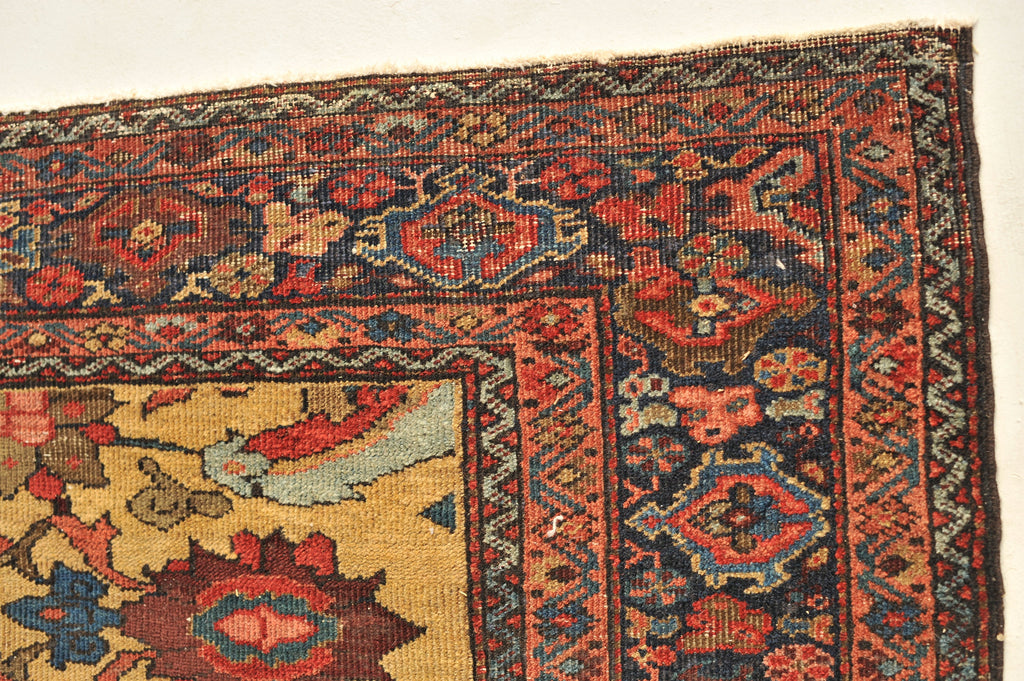Collector's Antique Rug | Rare Golden-Saffron Square GEM | ~ 5 x 5