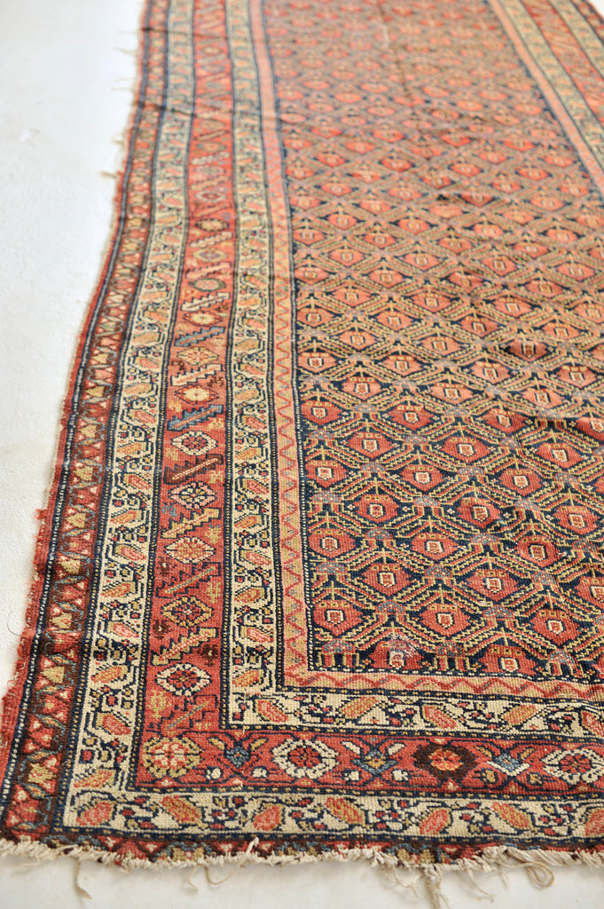 Wide Gallery Antique Runner | Distressed Wide Tight-Patterned Wide Antique Rug | 5.4 x 14.10