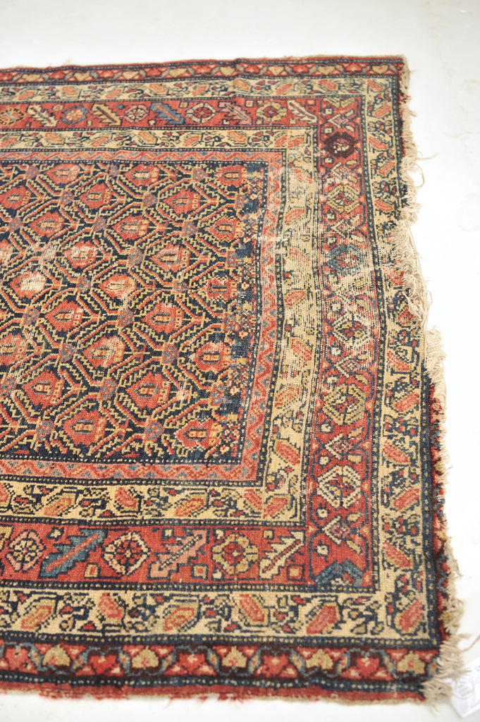 Wide Gallery Antique Runner | Distressed Wide Tight-Patterned Wide Antique Rug | 5.4 x 14.10