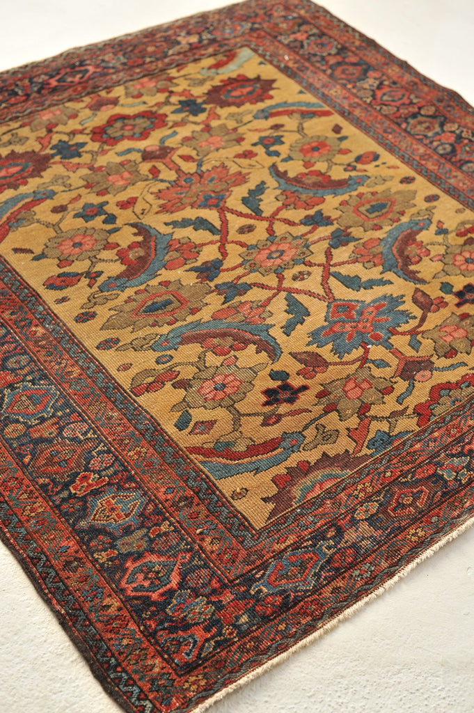 Collector's Antique Rug | Rare Golden-Saffron Square GEM | ~ 5 x 5