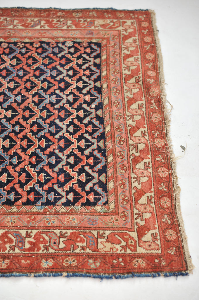 SOLD | Sophisticated & Whimsical Antique Rug | All-Over Bird & Tree Design with EVERY Color! | 4.1 x 6.1