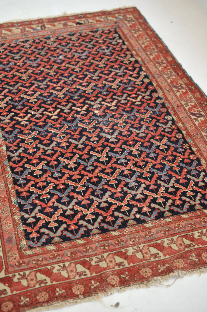 SOLD | Sophisticated & Whimsical Antique Rug | All-Over Bird & Tree Design with EVERY Color! | 4.1 x 6.1