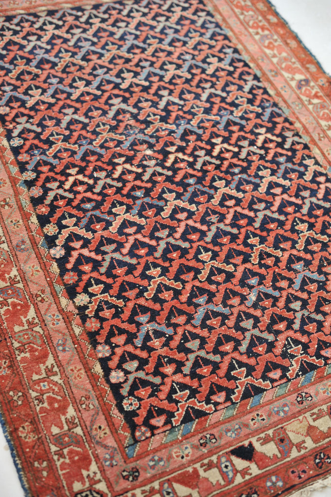 SOLD | Sophisticated & Whimsical Antique Rug | All-Over Bird & Tree Design with EVERY Color! | 4.1 x 6.1