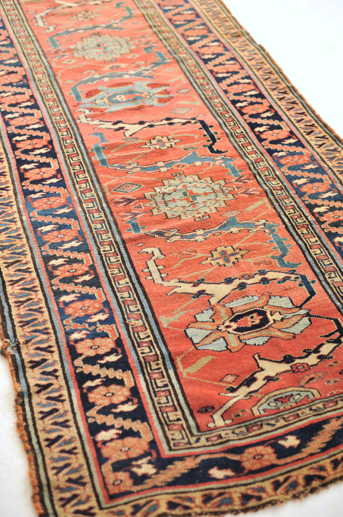 GORGEOUS & GLOWING High-End Antique Runner | Very Fine Ancient Design with Vines Linking to Palmettes | 3.8 x 11