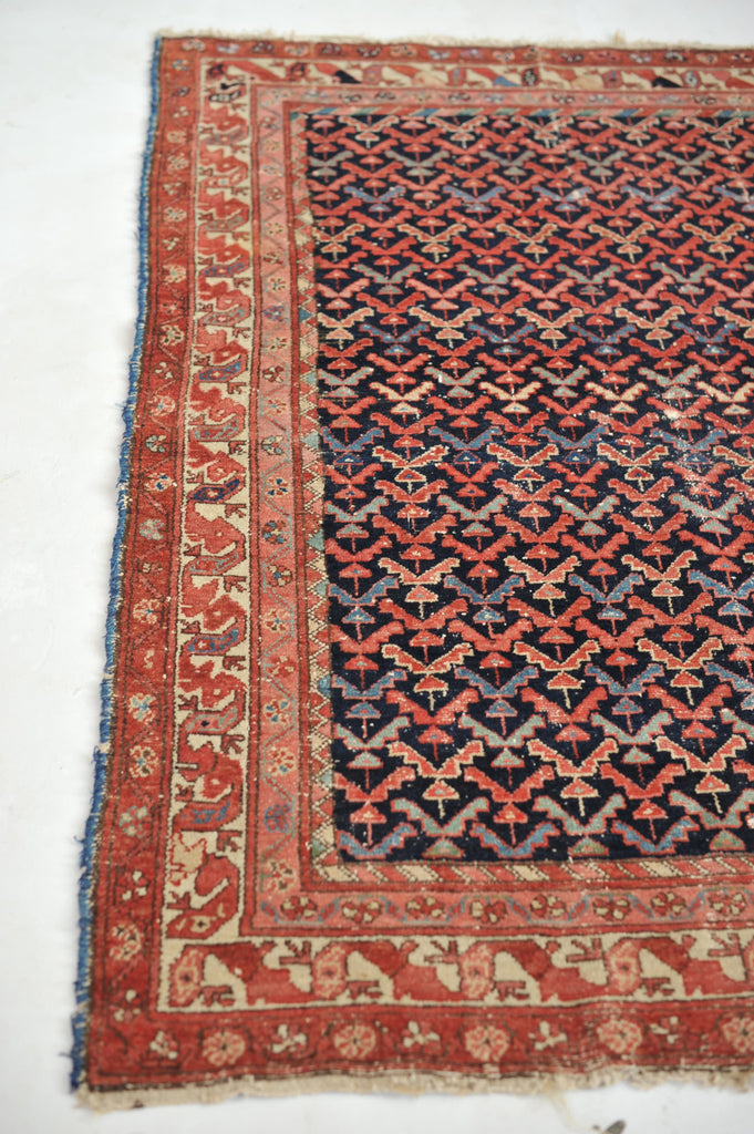 SOLD | Sophisticated & Whimsical Antique Rug | All-Over Bird & Tree Design with EVERY Color! | 4.1 x 6.1