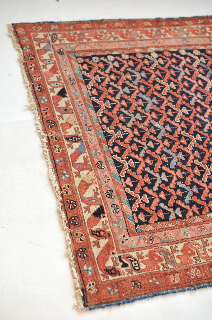SOLD | Sophisticated & Whimsical Antique Rug | All-Over Bird & Tree Design with EVERY Color! | 4.1 x 6.1