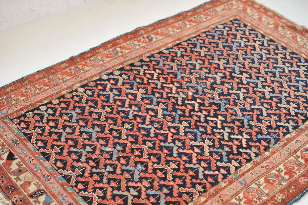 SOLD | Sophisticated & Whimsical Antique Rug | All-Over Bird & Tree Design with EVERY Color! | 4.1 x 6.1