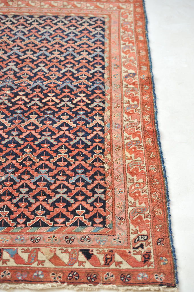 SOLD | Sophisticated & Whimsical Antique Rug | All-Over Bird & Tree Design with EVERY Color! | 4.1 x 6.1