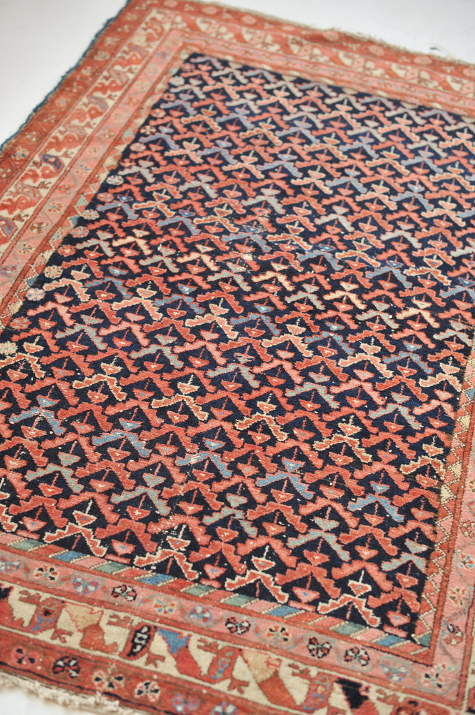 SOLD | Sophisticated & Whimsical Antique Rug | All-Over Bird & Tree Design with EVERY Color! | 4.1 x 6.1