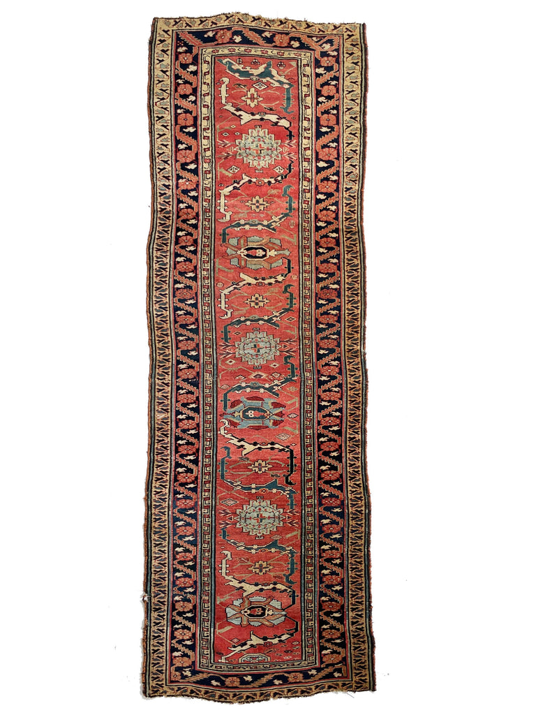 GORGEOUS & GLOWING High-End Antique Runner | Very Fine Ancient Design with Vines Linking to Palmettes | 3.8 x 11