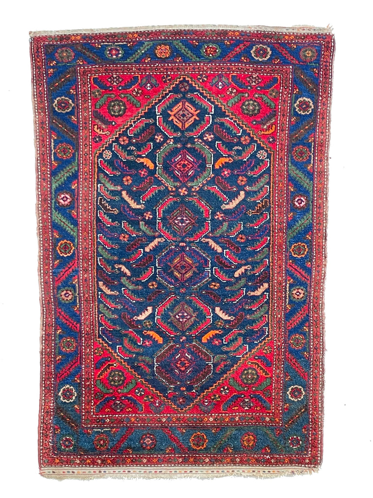 COLORFUL Charming Antique Rug | Schools of Fish Swimming Throughout this Antique Rug | 4.6 x 6.8