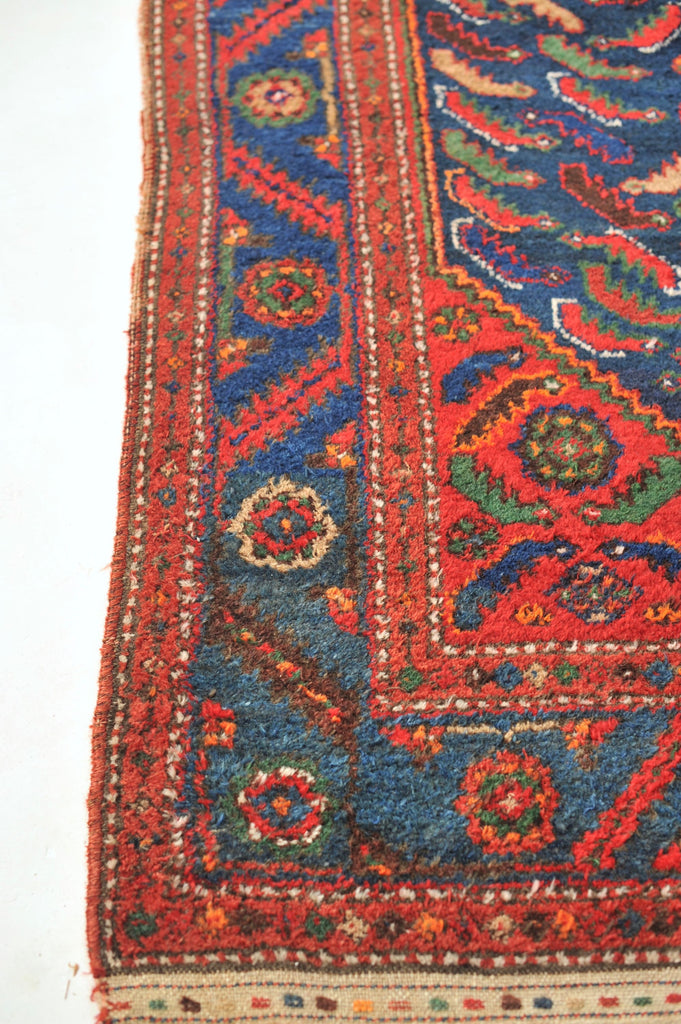 COLORFUL Charming Antique Rug | Schools of Fish Swimming Throughout this Antique Rug | 4.6 x 6.8
