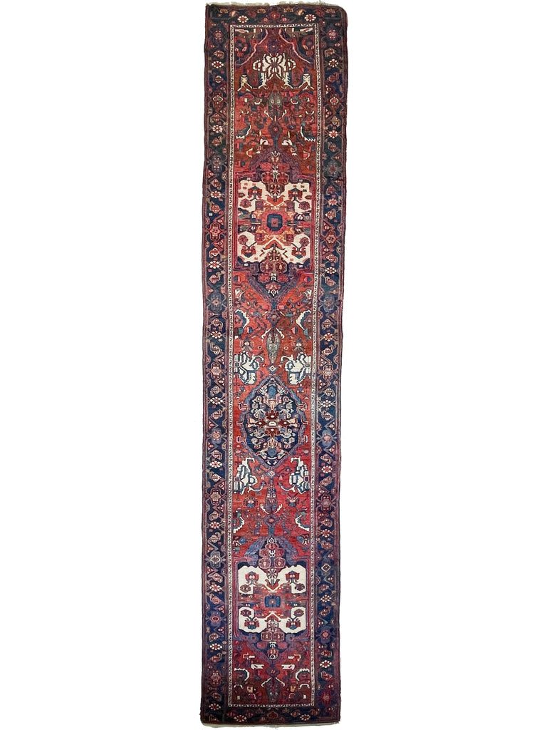 Beautiful Over-sized Extra Long Antique Persian Malayer - Beautiful Cypress Tree Runner with Clay, Amber, Rust Field | ~ 3.4 x 17